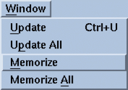 Window-Memorize