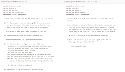 dcvsession output examples dcvsession output examples