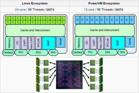Scale-Up Models for Linux Ecosystem and PowerVM Ecosystem