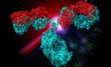red and teal antibody structure