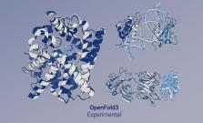 elmerfold protein folding visualization
