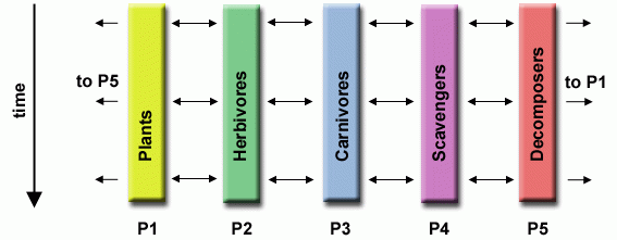 Ecosystem modeling diagram