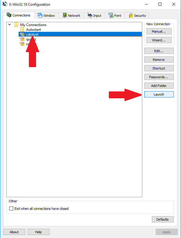 new connection in the X-Win32 Configuration dialog box window, screenshot