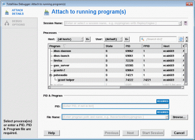 Debugging in C With TotalView